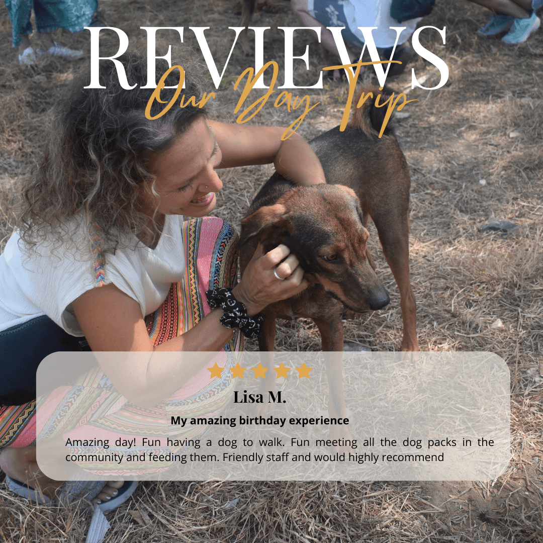 Rescue PAWS Day Visit Reviews